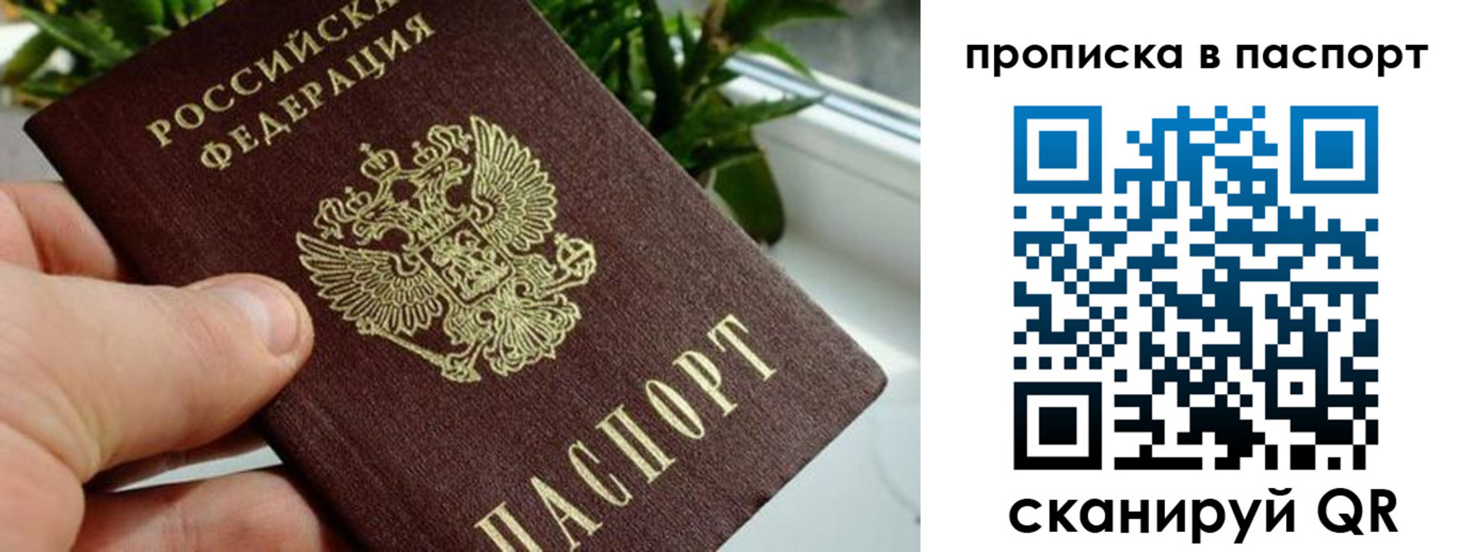 пропишу в квартире в Минеральных Водах